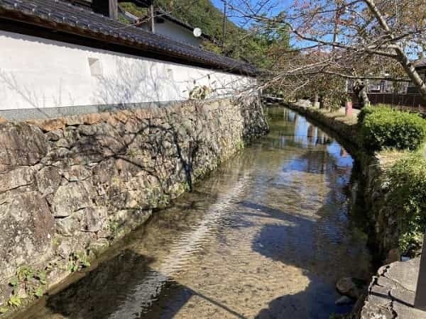 【兵庫県朝来市】シャッターを切る手が止まらない！ 時代に翻弄された天空の城「竹田城」の魅力とは？