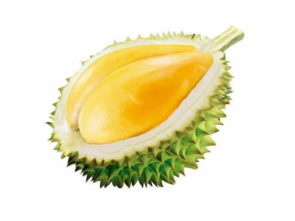 ドリアン味のアイス！？　MOCHI MOCHI MUSANG KING DURIAN＆DURIANの発売