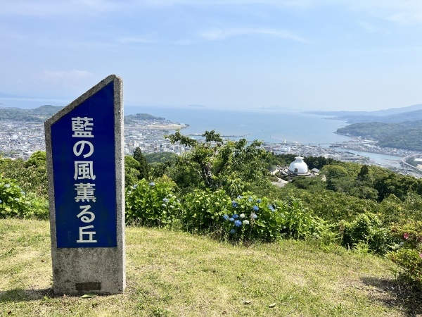 【天草市】桜だけじゃない絶景スポット！十万山公園