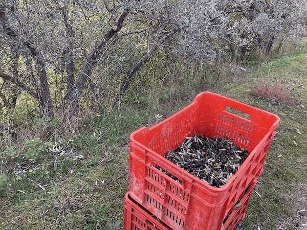 【イタリア】の最も美しい村「トレヴィ」はこんなところ！