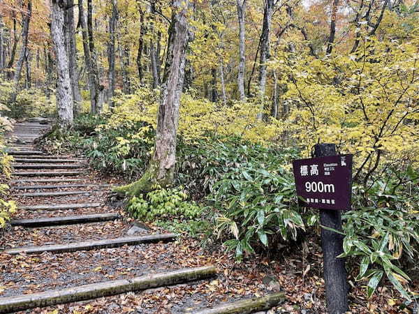 【日本百名山】2座目は雨の中をひたすら登った大山(鳥取県)