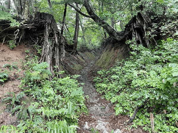 【山形】神々しい金峯山に登拝