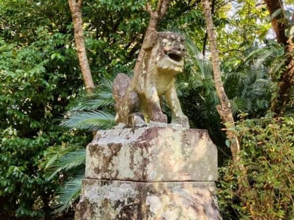 【熊本の無人神社】西区を一望できる「下松尾八幡宮」