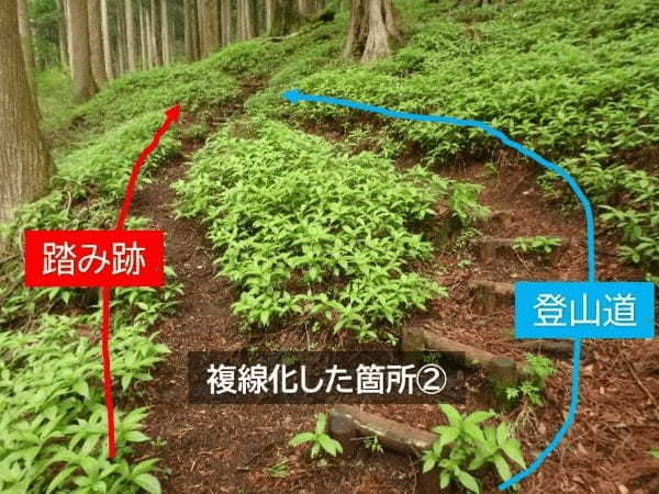 登山者による「踏み跡」問題　神奈川県自然環境保全センターが警鐘