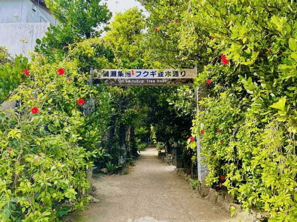 ワーケーションにおすすめな日本の島6選｜プランや観光スポットをご紹介