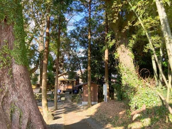 【熊本の無人神社】地域の方の憩いの場の水源「塩井社」