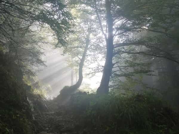 登山の消費カロリーは？消費量とダイエット効果で注意すべき危険性も解説！