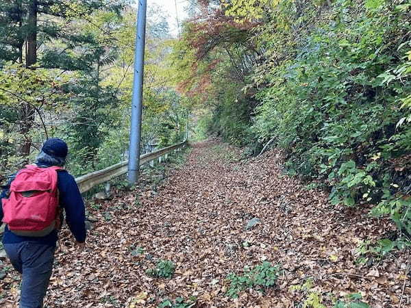 【群馬県】面積の約95%が森林という、自然に溢れた上野村で私が受け取ったものとは？