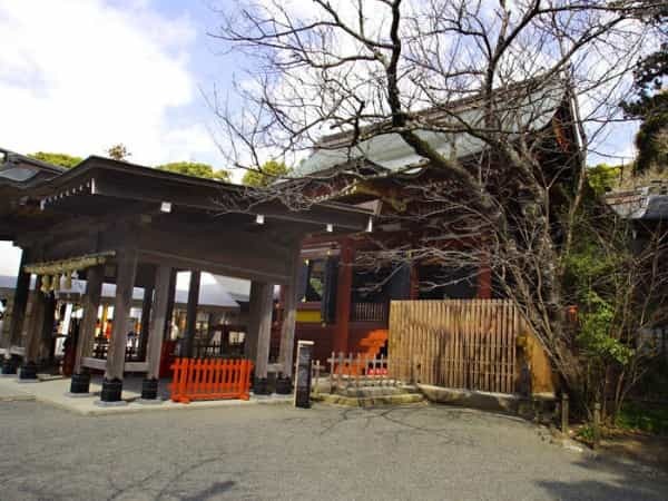 鎌倉の「鶴岡八幡宮」徹底ガイド！ 大河ドラマ館も含めた見どころ紹介