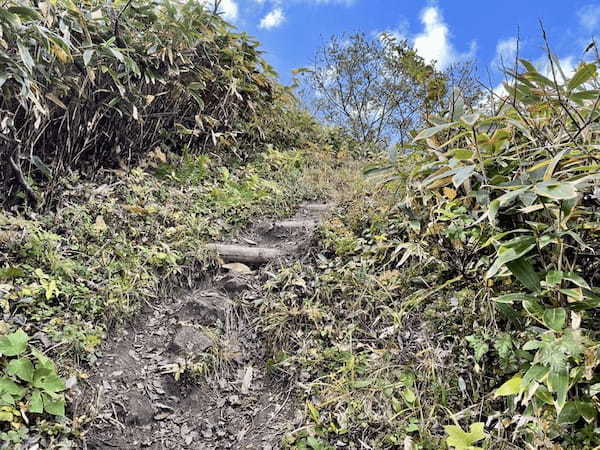 【島根】石見富士「三瓶山」のカルデラを大縦走！