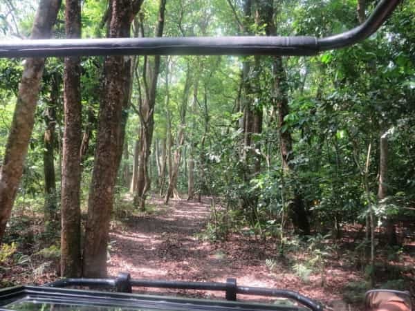 ネパール・世界遺産チトワン国立公園でアドベンチャー体験!!~日本じゃ体感できない非日常のひとときを~(後編)