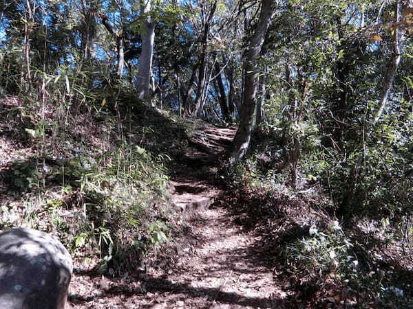 弘法山公園（弘法山）は初心者にも優しいお手軽ハイキングコース