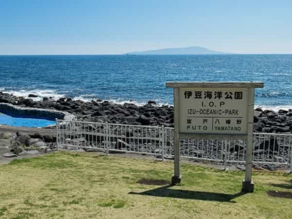 東伊豆・伊豆海洋公園セルフダイビングコースと見どころ-豊富なコース取り-