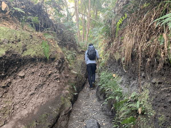 【Vol.101 開聞岳】開聞岳唯一のらせん状ルートを徹底レポート／バン旅百名山