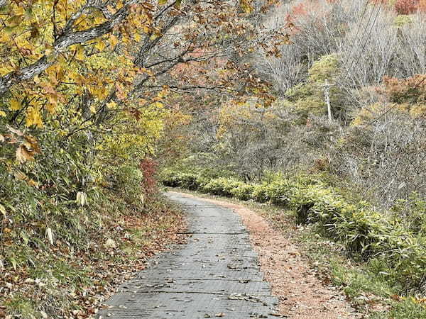 【島根】石見富士「三瓶山」のカルデラを大縦走！