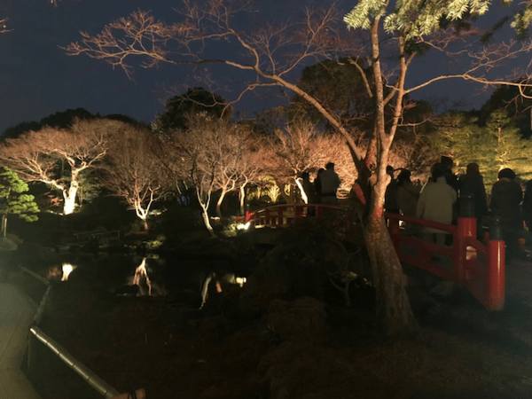 【島根県】大感動の庭園イルミネーション！「由志園」がおすすめ！