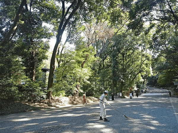 明治神宮と永遠の杜～初詣参拝者数1位である明治神宮の歴史と見どころ～