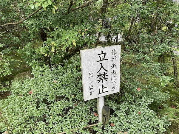 【栃木県】今、改めて「日光」の価値に気づく旅