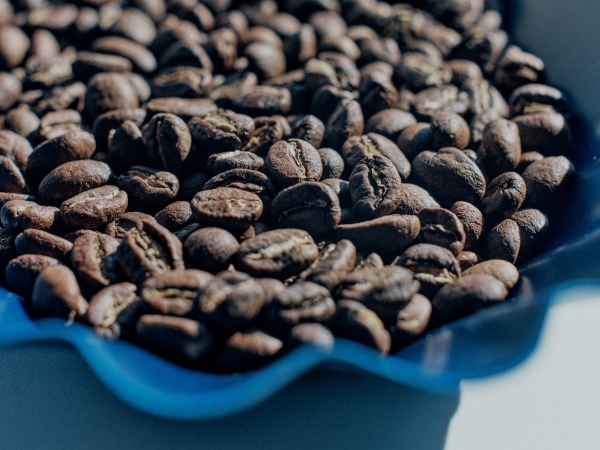 JINSは、創業の地で地域共生の更なる可能性を見つけます 「ONCA COFFEE & ROASTERY 前橋店」4/12(水)OPEN!
