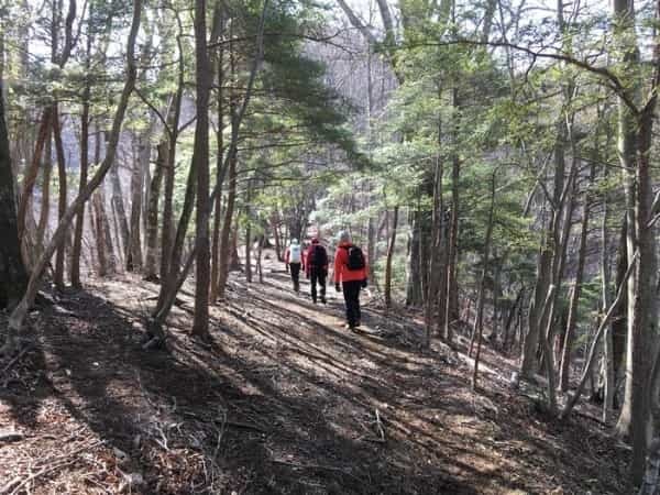 【秀麗富嶽十二景】最終十二番山頂の「本社ヶ丸」はマジきつかった。。。