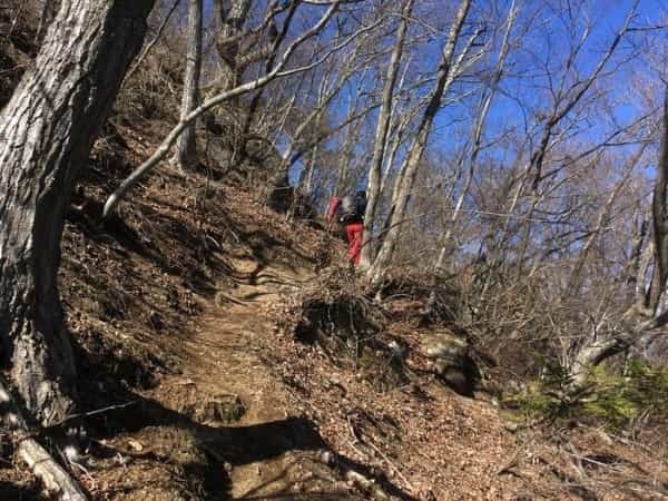 【冬の低山】秀麗富嶽十二景「九鬼山（970ｍ）」のおすすめポイント