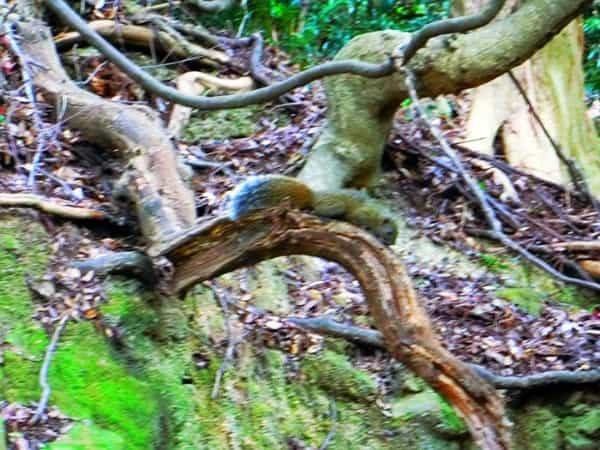 和歌山県・あの友ヶ島に上陸！独特な雰囲気を持つ神秘的な場所でした◎