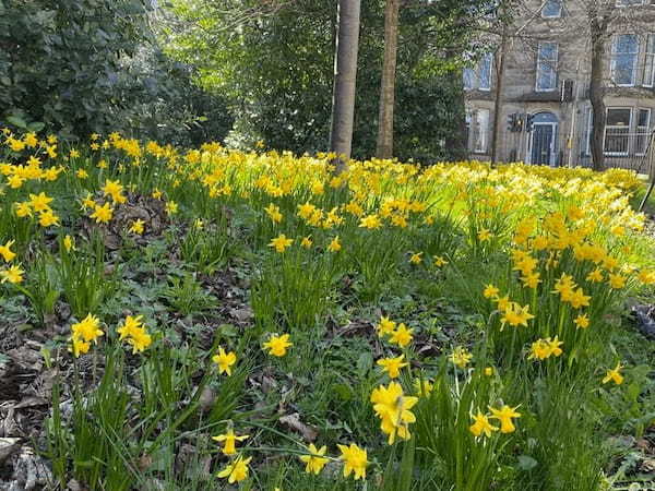 イギリスの季節の花々の織りなす絶景を楽しもう！