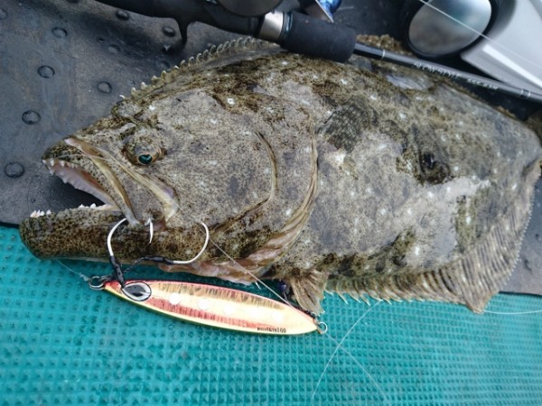 ヒラメの釣り方のコツとは？時期・シーズン・ポイントなど【動画あり】