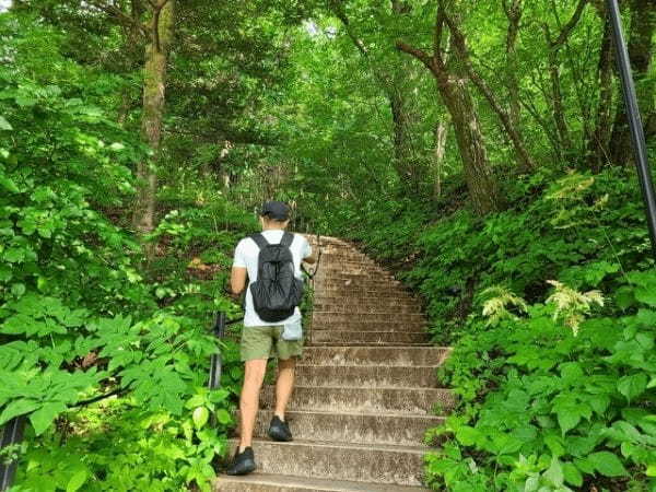 【連載】夏におすすめ！軽井沢星のエリアで過ごす1泊2日の旅を紹介(後編】