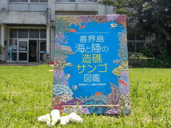 100年後に残す。喜界島のサンゴの”今“を記録した『喜界島 海と陸の造礁サンゴ図鑑』