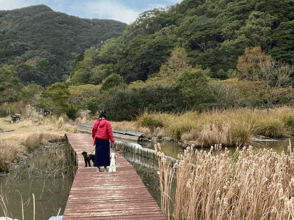 大分県佐伯市の瀬会公園キャンプ場、「わん！ケーションプラン」開始