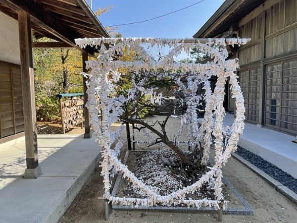 鳥取「白兎神社」って知ってますか！？日本最古級のラブストーリーから縁をいただこう！