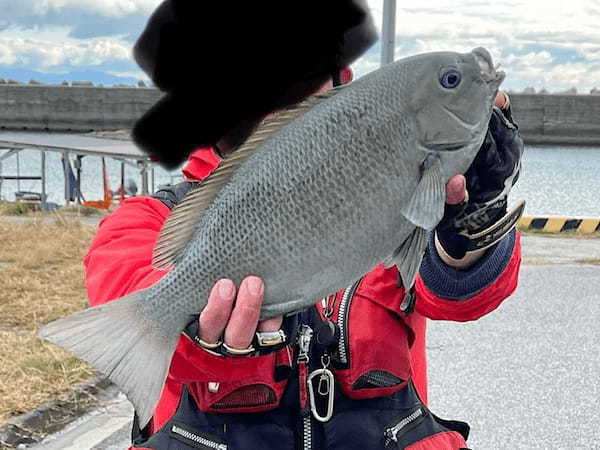 磯フカセ釣りにおすすめの竿(ロッド)はこれだ!
