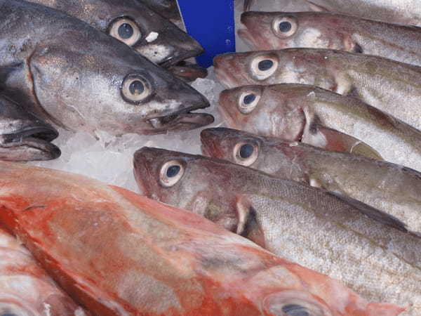 「春告魚」とはどんな魚?その正体はおせちで見かける事もあるあの魚です!