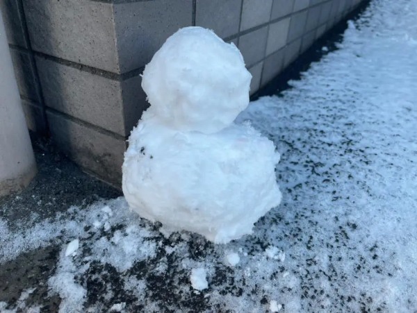 【それが鹿児島民】灰が降ってもなんとも思わないけど……少量でも雪が降ると異常にテンションが上がる!!