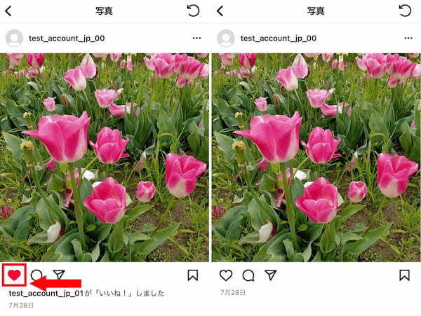 【完全ガイド】Instagramで自分の「いいね」した投稿一覧の確認方法