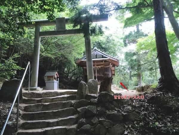 甲山「鷲林寺」のさらに奥、「観音山」の絶景を見にいってみた【にしつーアウトドア】