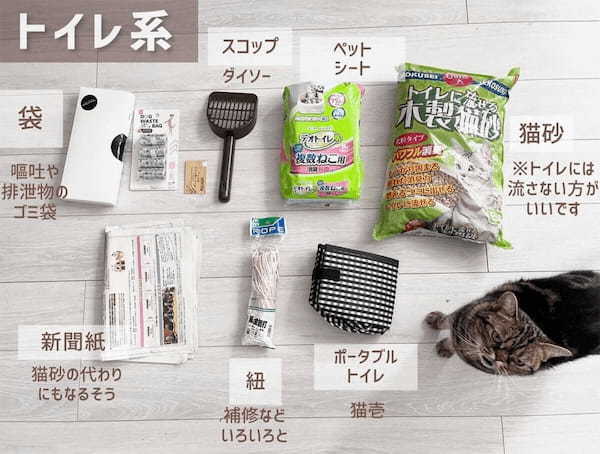 「猫がいるおうち」の防災グッズ、愛猫用に備えたいものまとめが参考になると話題