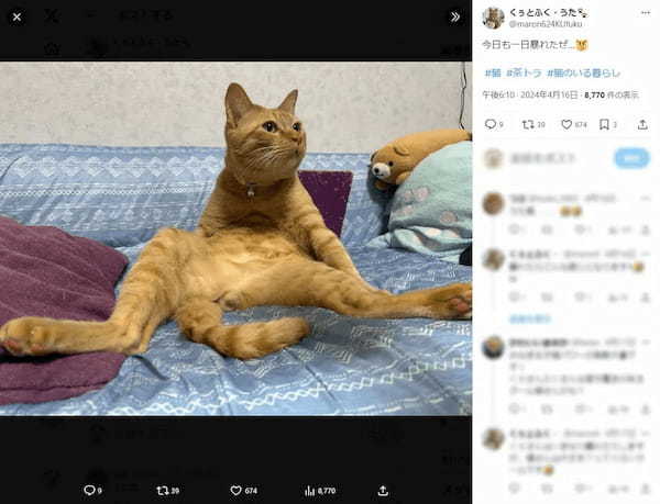 猫がヤンキー座り！？独特な姿勢で寛ぐ猫がおもかわいい