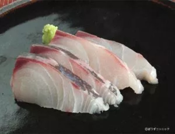 メダイ釣りガイド！釣り方の基本やコツを徹底解説！