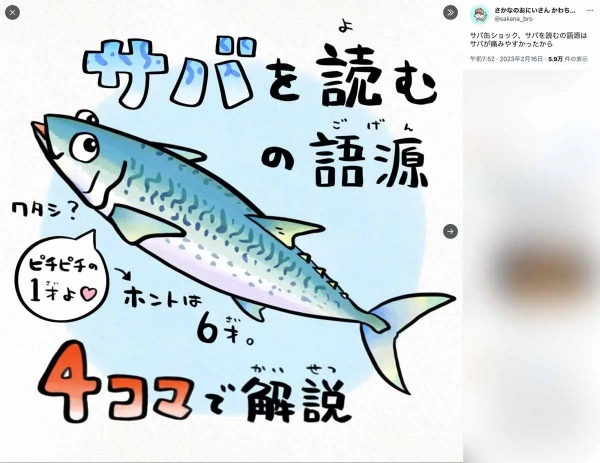 サバの特徴から生まれた「サバを読む」語源を解説する4コマイラスト