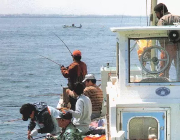 釣り初心者への入門ガイド！気になる初めての疑問を解消しよう