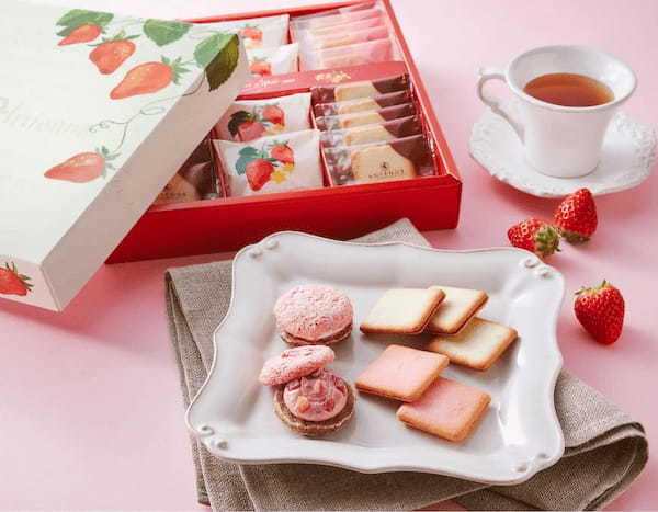 【アンテノール 母の日限定】 チョコレートでつくるカーネーションのケーキで日頃の感謝を
