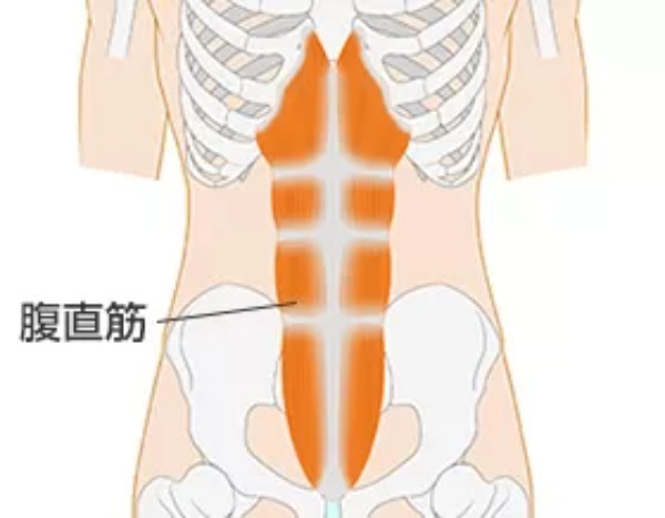 バイシクルクランチで腹筋を綺麗に割る！効果的なやり方を解説！