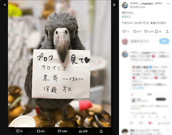 「プロフ見て♥」Xでお馴染みの迷惑リプをインコが再現　これは見たくなる！