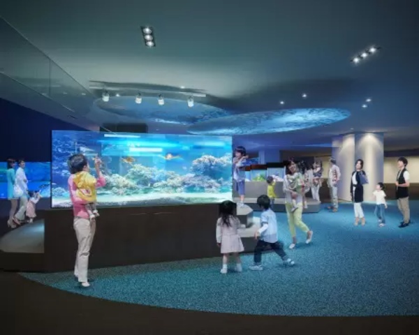 すみだ水族館で新エリア「小笠原」が追加、グッズ販売も