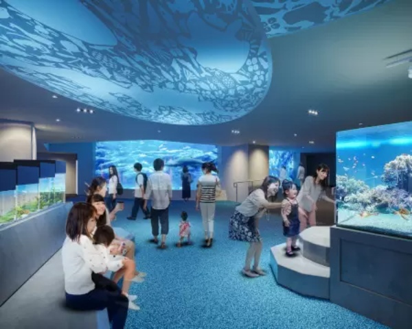 すみだ水族館で新エリア「小笠原」が追加、グッズ販売も