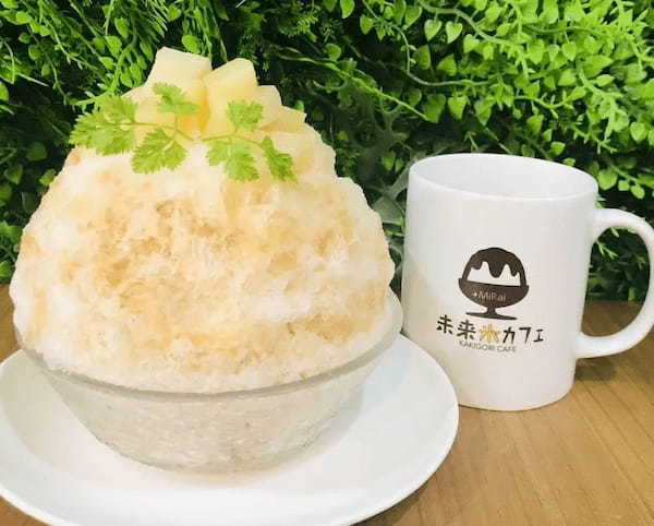 【阪神梅田本店】約80種のかき氷が登場！13日間にも及ぶ、かき氷の一大イベントを開催します