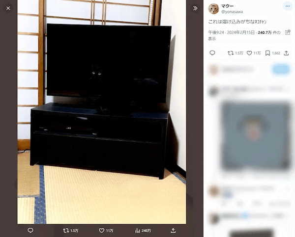 テレビの画面に二つの瞳が！？正体は背景に溶け込んだ黒猫さん