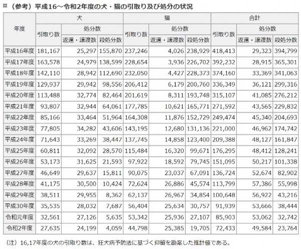 TNR活動とは？猫の保護活動について考えよう！最新の保護猫数も解説